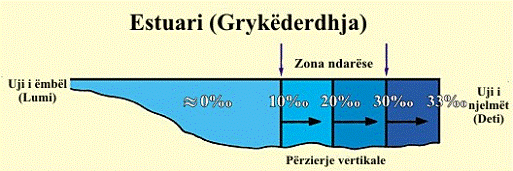 bild1